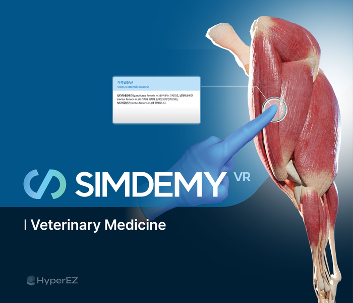 제공:하이퍼이지