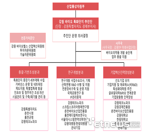 강원 바이오 특화단지 추진단 구성(안)