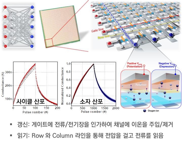 연구팀이 제작한 3단자 이온제어형 메모리 소자의 크로스 포인트 어레이 구조 및 동작 방법. 단자 기반 전기화학적 메모리 소자의 어레이 측정 결과(위 그림), 소자 간 산포에서 모두 뉴럴 네트워크 훈련 위한 요구 조건 충분히 상회, 우수한 특성 확인(아래 그림).