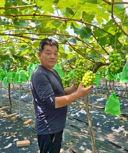 상주 중화농협 공선출하회 이상돈 총무. [자료:쿠팡]