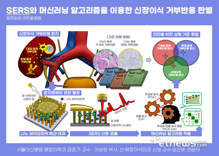 ERS(표면강화 라만분광법)과 머신러닝 알고리즘을 이용한 신장이식 거부반응 판별