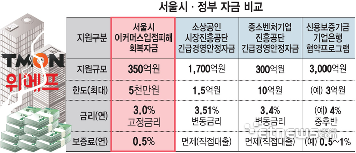 서울시·정부 자금 비교