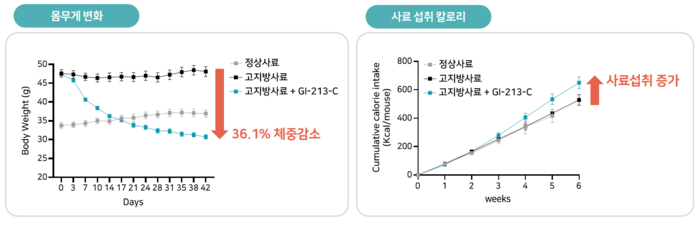 지아이이노베이션, 차세대 비만치료제 후보물질 개발 본격화