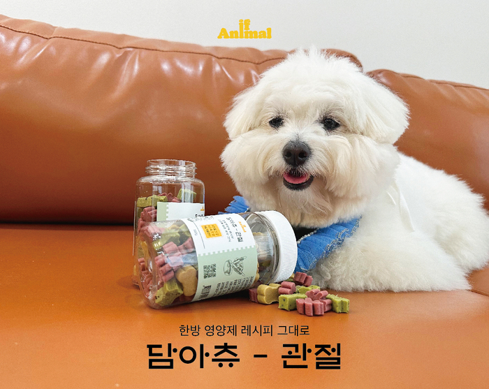 [마이펫페어] 이프애니멀, 기능성 비건 간식 '담아츄-관절'을 새로 선보여