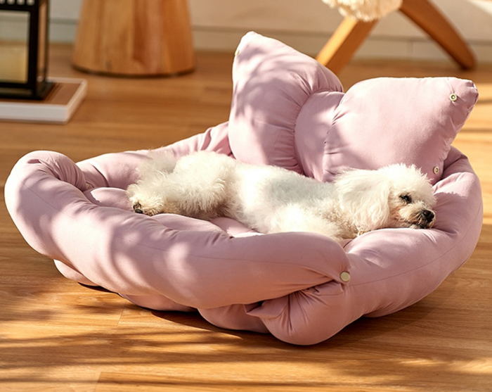 [마이펫페어] 코니멀하우스, 반려동물의 건강을 위한 라이프 스타일 브랜드로 도약