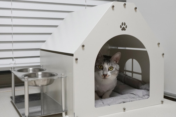 [마이펫페어] 태원정밀, 반려동물 리빙 용품 브랜드 '어폼포펫' 대형견 제품 소개