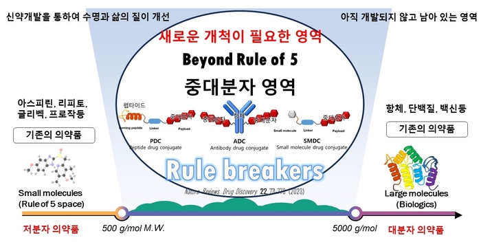 중대분자 영역 연구 개요.