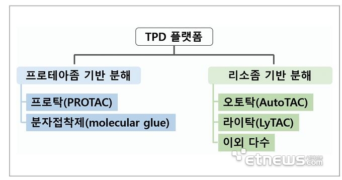 TPD 플랫폼