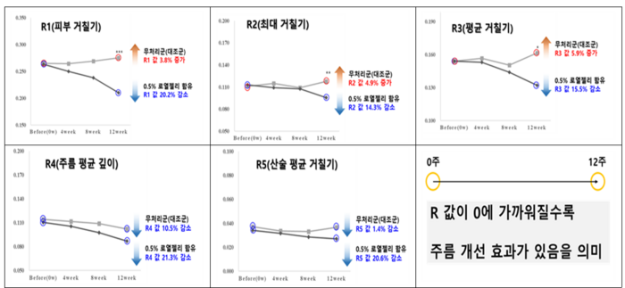 주름개선효과