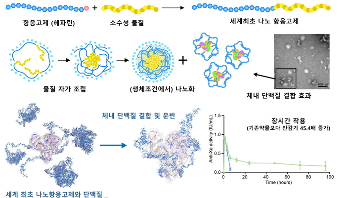 전남대와 건국대 연구팀이 개발한 세계 최초 나노항응고제.