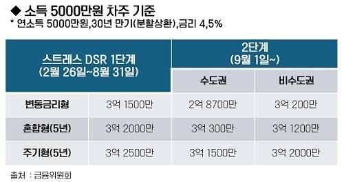 스트레스 DSR의 적용 범위가 넓어진다. 사진=DK아시아