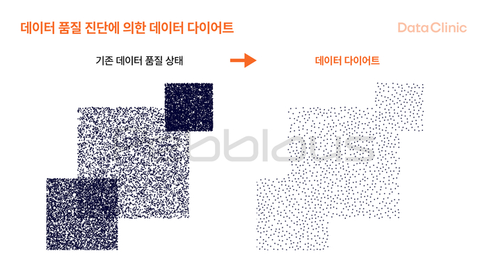 데이터 품질 진단에 의한 데이터 다이어트 개념도