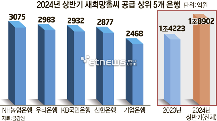 2024년 상반기 새희망홀씨 공급 상위 5개 은행 (자료:금감원)