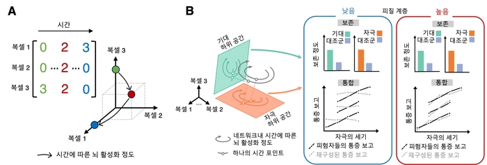 뇌 활성화 정도를 표상하는 공간과 그 안에서 일어나는 통증 정보 보존 및 통합