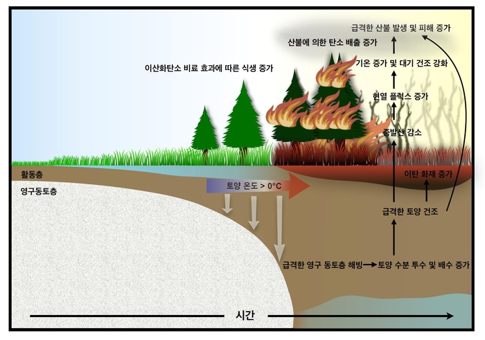 북반구 극지역 산불 강화 메커니즘 모식도