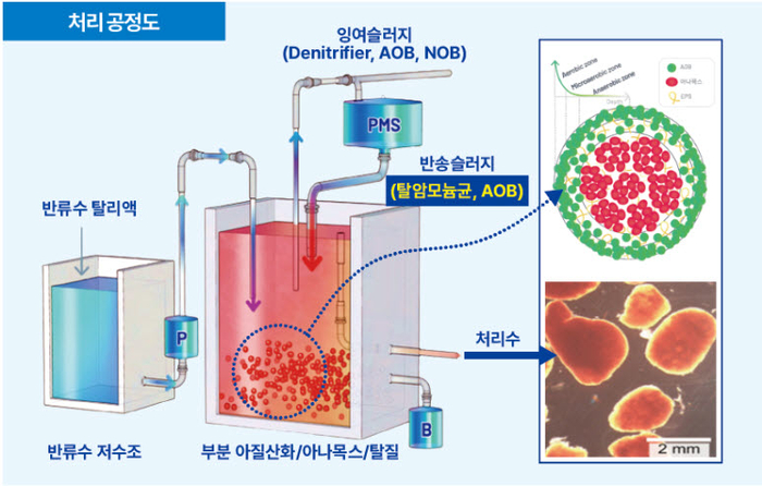 삼진정밀 탈암모늄 공정