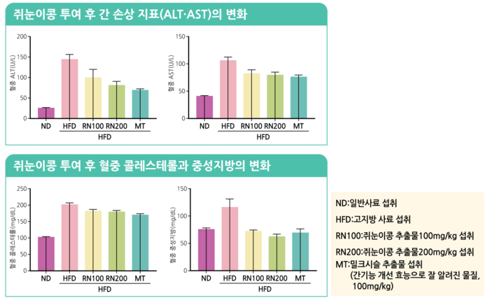 식품연, 쥐눈이콩 '비알코올성 지방간' 개선 효과 증명