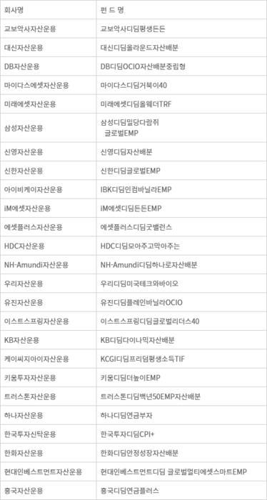 25개 자산운용사 출시 디딤펀드 명단 - 자료:금융투자협회