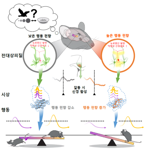 대뇌피질-시상핵에 의한 행동 편향 조절 메커니즘. 김정진 박사