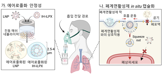 흡입 최적화 지질 나노 복합체의 mRNA 흡입 전달 전략 모식도