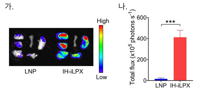 기존 mRNA 전달체, 개발된 흡입용 전달체의 흡입 전달 후 쥐 모델 폐 단백질 발현량 비교