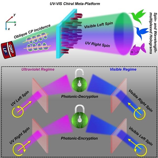 광각 스핀 및 파장 다중화된 자외선-가시광 유전체 카이랄 메타 플랫폼의 작동 원리 도식
