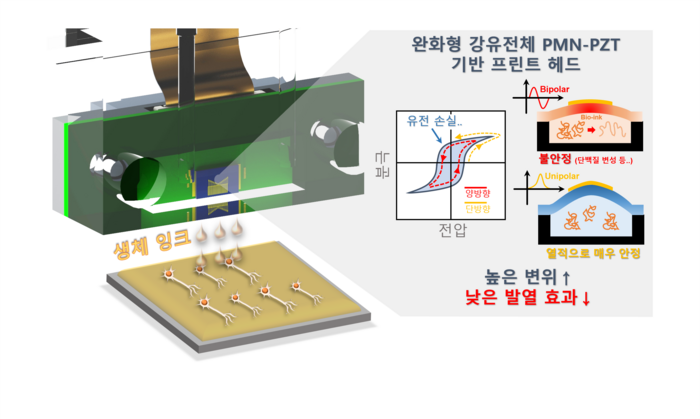 바이오프린팅 응용을 위한 고성능 압전 물질 기반 프린트 헤드 개략도