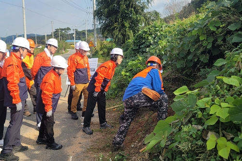 산림청이 충남 홍성에서 조림지·도로변 덩굴류 집중 제거 작업을 진행했다.
