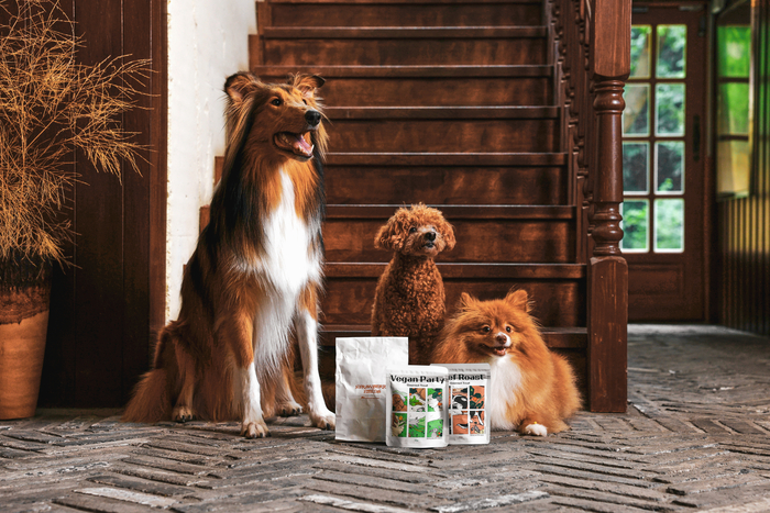 [마이펫페어] 인스타 팔로워 12.4만 인플루언서 '멍디'와 '어니스트밀' 협업 브랜드 스트로베리필즈 론칭