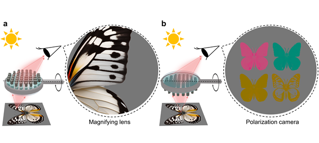 빛이 입사되는 방향에 따라 독립된 두 기능을 하는 메타표면. 왼쪽은 확대 렌즈, 오른쪽은 편광 카메라로 작동하는 메타표면 예시.
