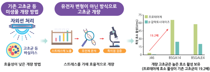 고초균의 개량 방법과 장점