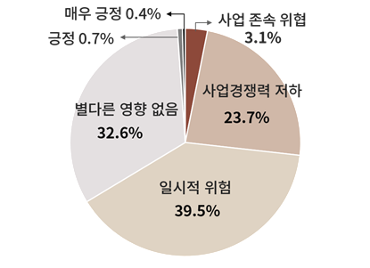 지정학적 리스크가 기업경영에 미치는 영향 - (자료=대한상공회의소)