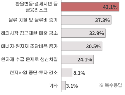 지정학적 리스크 피해 유형 - (자료=대한상공회의소)