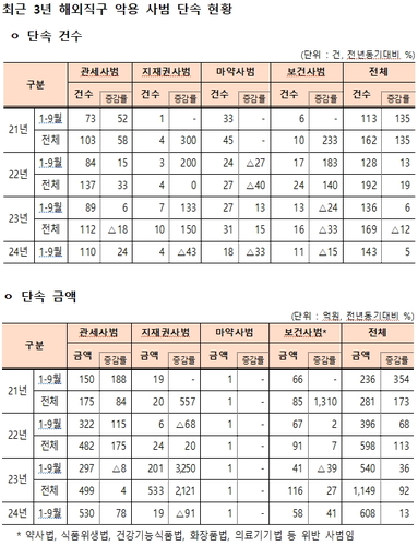 관세청, 블랙프라이데이 등 해외직구 불법 수입 근절…오픈마켓 협업 특별단속 실시