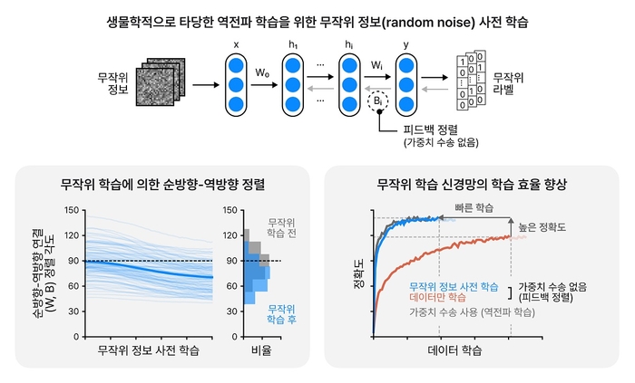 무작위 정보 훈련의 방법과 그 효과를 모사하는 그림