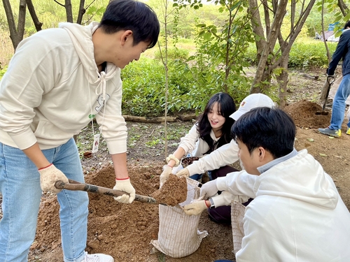 23일 서울 마포 노을공원에서 현대캐피탈 임직원들이 환경보호 사회공헌 할동 '그린스텝스'를 실시했다.(사진=현대캐피탈)