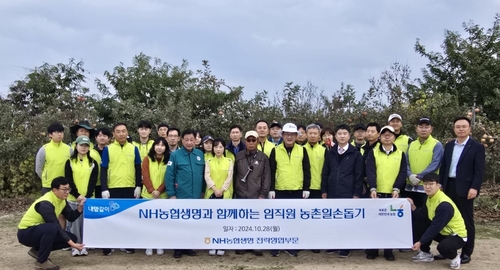 28일 경기도 포천 영북농협 관내 농가에서 진행된 '농촌 일손돕기' 활동에 참여한 NH농협생명 임직원들이 기념촬영을 하고 있다.(사진=NH농협생명)