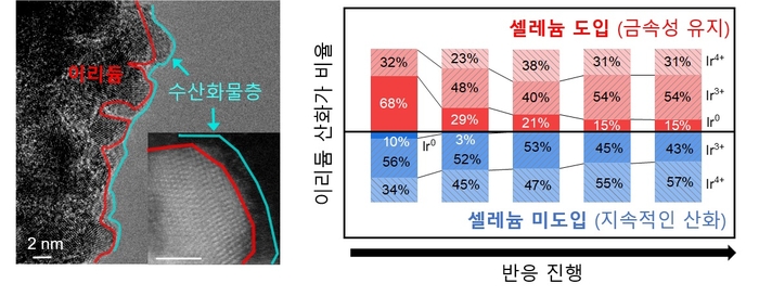 셀레늄 도입에 따른 표면 수산화물층 형성과 이에 따른 이리듐 산화 및 용출 억제