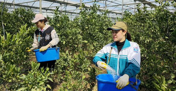 한국에서 일하는 베트남 노동자. 사진=연합뉴스