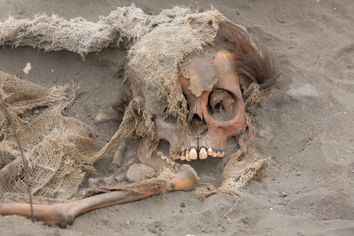 페루 팜파 라 크루즈 유적지에서 발견된 길쭉하게 변형된 두개골. 사진=Huanchaco Archaeological Program