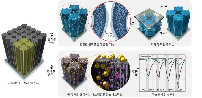 나노패턴된 탄소나노튜브의원자 침투성 개선 전략 및 응용