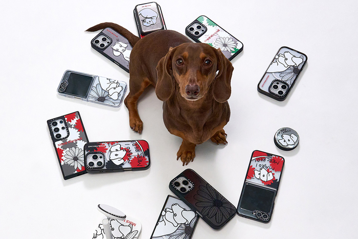 마르디 메크르디 x 케이스티파이 컬렉션