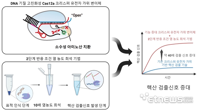 새로운 크리스퍼 유전자 가위 기반 진단 기술 모식도