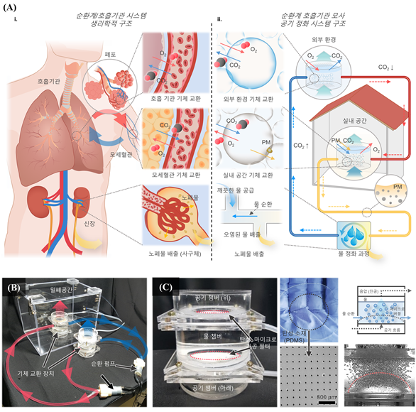 인체 순환계/호흡기관 모사 공기 정화 시스템의 개념 및 실제 구성 모습. 고승환 교수
