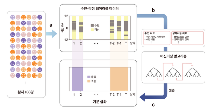 수면-각성 데이터만을 이용한 기분 삽화 예측 모델