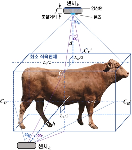 다시점 RGB-D 생체영상 수집을 위한 센서 설치 이미지.