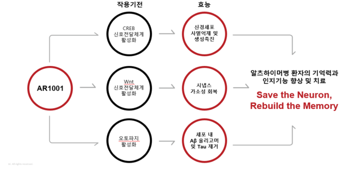 아리바이오 물질 작용 기전