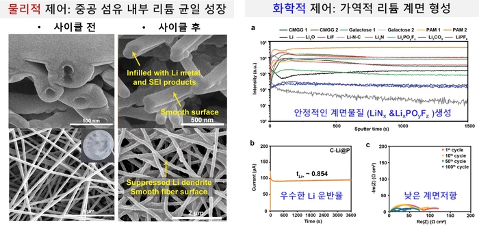 개발된 중공 나노섬유 보호막을 통한 리튬 수지상 결정의 물리·화학적 제어.