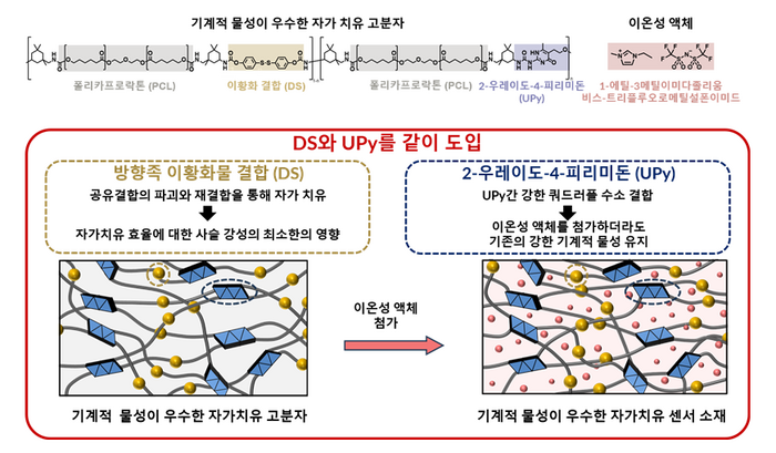 자가치유 고분자와 센서 소재 개략도. 강지형 교수 제공