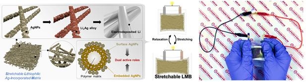 변형 가능한 리튬 호스트 구조 및 연신성 리튬 금속 전지 구동 사진
